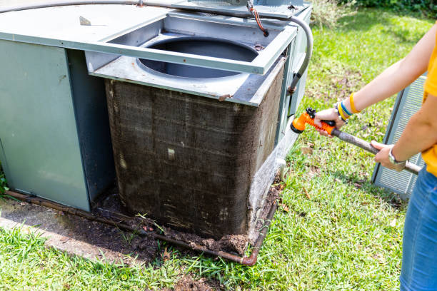 Air Duct Mold Removal in St John, IN